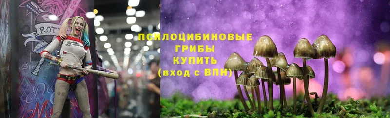 Галлюциногенные грибы MAGIC MUSHROOMS  купить наркоту  MEGA ССЫЛКА  Аткарск 